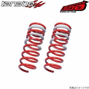 タナベ スプリング DF210 ラクティス SCP100 リア左右セット TANABE サスペンション トヨタ NCP100DR×2