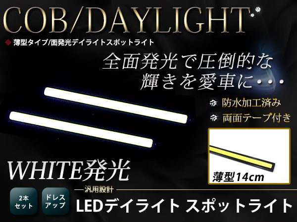 イーグルアイ LED COB ライト 5個 スポットライト 12v 18mm 白 通販