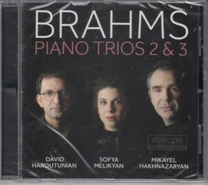 [CD/Rubicon]ブラームス:ピアノ三重奏曲第2番ハ長調Op.87&ピアノ三重奏曲第2番ハ短調Op.101/S.メリキヤン(p)&D.ハルトゥニアン(vn)他