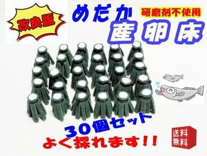 【改良版】産卵床 ３０個セット/研磨剤不使用◇めだか メダカ たまごトリーナ タマゴトリーナ②