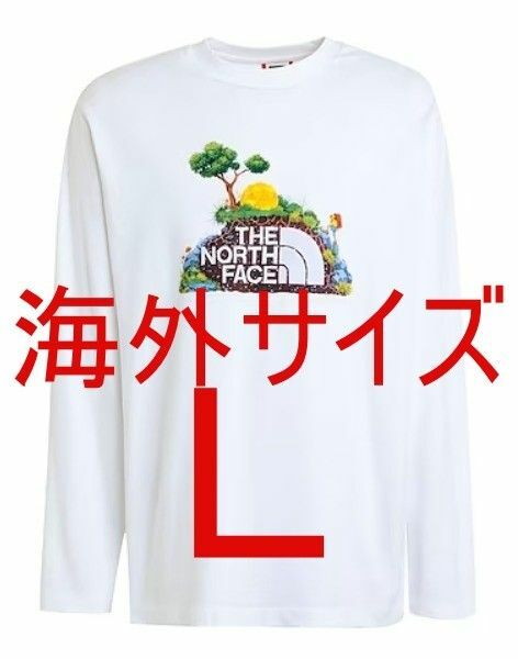 【The North Face】 M ヘリテージ LS GR ロンTシャツ