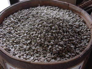 ★お好きなコーヒー生豆１０㎏選べます。17300円★