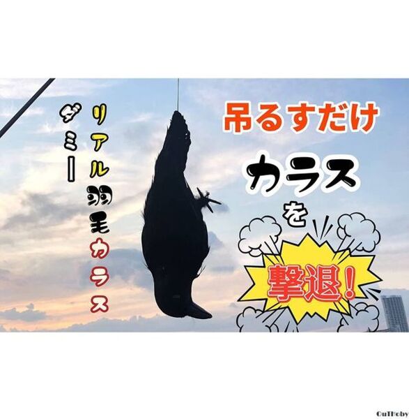 カラスよけ カラス撃退 原寸体サイズ 本物そっくり リアル 羽毛 カラス 簡単設置 鳴き声 フン害 被害 対策 ゴミ置き場 ベランダ 畑 倉庫