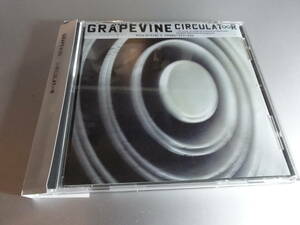 GRAPEVINE　　　 グレイプ・パイン　　CIRCULATOOR 帯付き国内盤