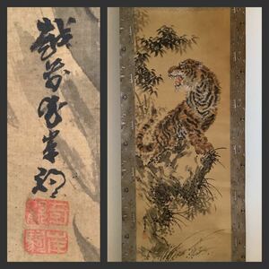 【模写】掛軸Jun509L[岸駒　猛虎図]着色絹本　書いたもの／日本画　花鳥画　猛獣　虎之図　江戸時代中期絵師　岸派の祖　佐伯　古書