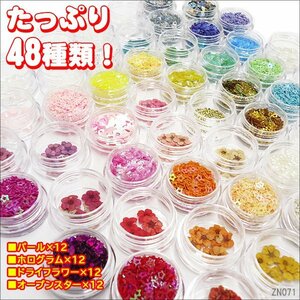 デコパーツ (B) 48種類セット クリアケース入り ネイルアート レジン ハンドメイドパーツ 押し花 メール便/22