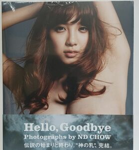 安齋らら 写真集　『 HELLO Goodbye』新品未開封