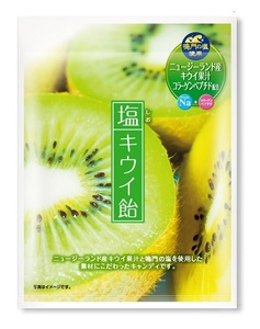 加藤製菓　塩キウイ飴　58g 12袋セット 送料無料