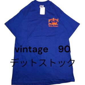【希少!当時のタグ付き!デットストック USA製】90'Hanes プリントTシャツ