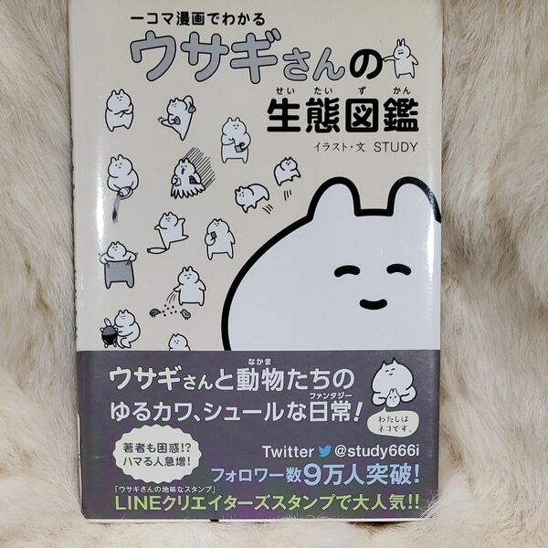 《775》一コマ漫画でわかるウサギさんの生態図鑑 ＳＴＵＤＹ／イラスト・文