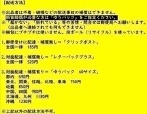 r3【写真】長野電鉄 電車 モハ1000形 1001 昭和26年 権堂（運輸省規格形電車 [昭和23年日車製→クハ1051_画像4