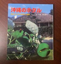 沖縄のホタル　陸生ホタルの飼育と観察　沖縄出版　1997年　　ZS28-8_画像1