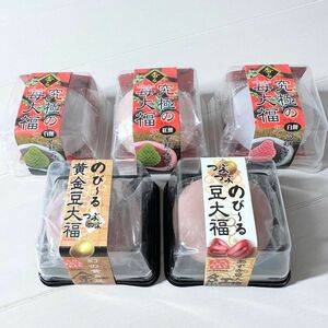 大福 スクイーズ 5種セット 究極の苺大福 豆大福 のびーるおもち コンプリート