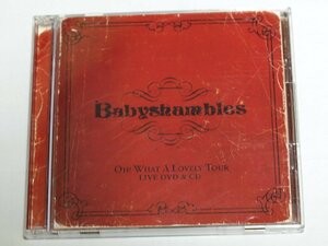 国内盤 BABYSHAMBLES / OH! WHAT A LOVELY TOUR ベイビーシャンブルズ DVD付き CD ライヴ LIVE アルバム 2枚組