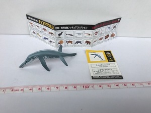 ◎011 リオプレウロドン チョコザウルス 恐竜・古代生物フィギュアコレクション DINOTALES 第1シリーズ 単品　X-633