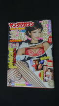 ヤングマガジン 2010年6月7日号 no.25 ほしのあき 次原かな 安藤成子 MS230616-003_画像1