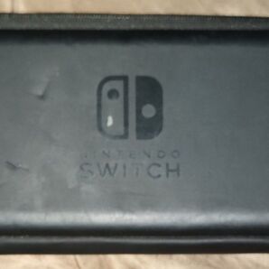 Nintendo Switch ケース ニンテンドー スイッチ