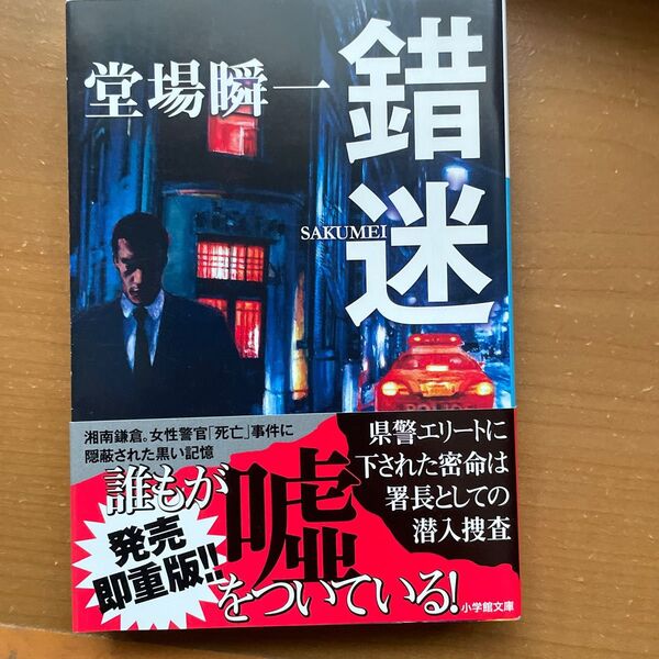 錯迷 （小学館文庫　と４－４） 堂場瞬一／著