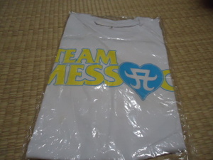 浜崎あゆみ team 2009年 SUMMER a-nation グッズ Tシャツ 新品　ｔ　ayumi hamasaki ASIA TOUR 2008 ～10th Anniversary～