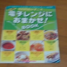 レタスクラブ付録　家計応援！おかずBook　夏野菜・キャベツ・大根・白菜&主婦の友付録電子レンジにおまかせ！BOOK_画像5