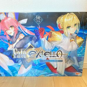 FATE EXTRA 10th ANNIVERSARY 未使用！