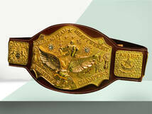 海外　限定品　送料込み NWA World Tag Team Heavyweight プロレス　チャンピオン　優勝　ベルト　高品質　レプリカ 3_画像2