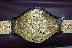 海外　限定品　送料込み NWA Americas Greg Valentine プロレス　チャンピオン　優勝　ベルト　高品質　レプリカ 3