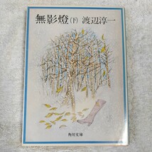 無影燈 (下) (角川文庫) 渡辺 淳一 訳あり ジャンク_画像1