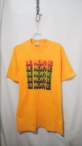 Vintage Downerwear LE MOYNE college t-shirt 80s ダウナーウェア ル・モイン 大学 カレッジ Tシャツ アメリカ製 5連 ビンテージ_画像5