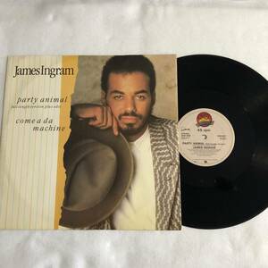 中古 UK盤 12&#34; Max-Single レコード James Ingram Party Animal ジェームス・イングラム パーティ・アニマル Qwest W9493T