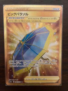 ポケモンカード　ビッグパラソル　UR