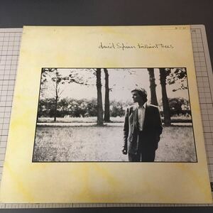 【LP】David Sylvian / Brilliant Trees / デヴィッド・シルヴィアン / JPN 国内盤 / vil-6114