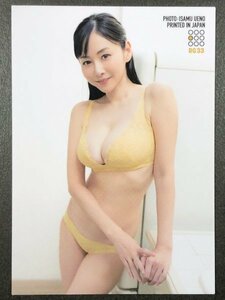 杉原 杏璃　～25th～Anniversary　RG33　水着 グラビア アイドル トレカ トレーディングカード