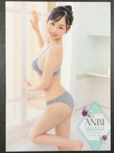 杉原 杏璃　～25th～Anniversary　RG60　水着 グラビア アイドル トレカ トレーディングカード