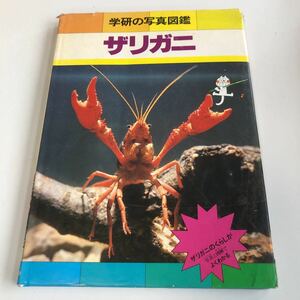 M5a-408 学研の図鑑 ザリガニ学研の写真図鑑 武田正倫 児童 小学 科学 化学 生物 工学 学研 学習研究社 箱ある無しは画像でご確認下さい