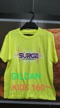 GILDAN Surge Adventure Park Tシャツ_画像1