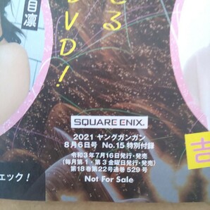 未開封 ヤングガンガン 2021年8月6日号 No.15 DVD 吉田莉桜 篠崎こころ 桃月なしこ 根本凪 鹿目凛 高崎かなみ 葉月つばさ 宮崎あみさの画像3