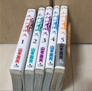 ホムンクルス　山本英夫　小学館　1〜5巻