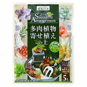 花ごころ 多肉植物 寄せ植えの土 5L (ネルソル入り)