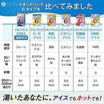 ファイン 難消化性デキストリン イオンドリンク ビタミンプラス ライチ味 22包 砂糖不使用 カロリーゼロ クエン酸 ビタミンC 国内生産_画像6