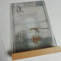 マルセル・デュシャン marcel duchamp オブジェ 《彼女の独身者によって裸にされた花嫁、さえも（通称：大ガラス）》_画像5