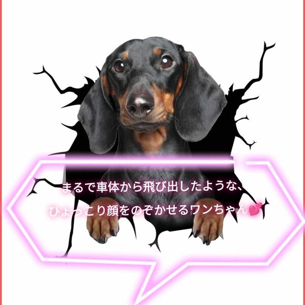 車用 ペットステッカー　犬　3Dカーシール　【ダックスフンド】　かわいい　アウトドア　