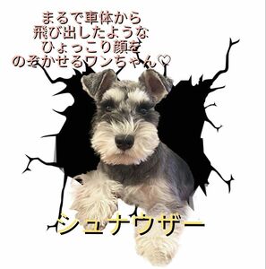 車用　ステッカー　犬　3Dカーシール　【シュナウザー】　かわいい　アウトドア　