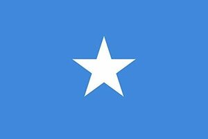 処分！国旗『ソマリア』90cm×150cm