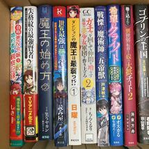 大SET-ш713/ ライトノベル 不揃い53冊まとめ フェイト 華鬼 盾の勇者の成り上がり 幼女戦記 ゴブリンの王国 先代勇者は隠居したい 他_画像2