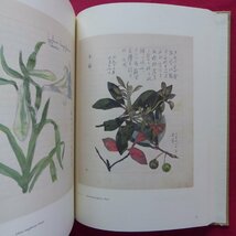 大型c【木下杢太郎著-百花譜(上・下)/岩波書店・1979年】植物画/ボタニカルアート_画像6