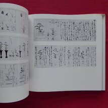 13図録【花生/徳川美術館、根津美術館編・昭和57年】中国出土の花生関係資料/花生としての古銅と青磁の器_画像8