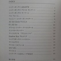 g2図録【シャドーボックス展6：Shadow Box Art Exhibition in Japan 2018/2017年・株式会社New York Art】_画像5