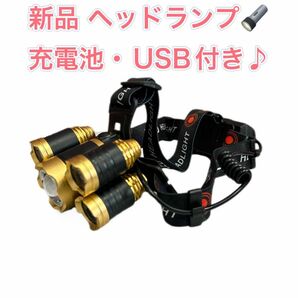 LEDヘッドライト LEDヘッドランプ usb 充電式 高輝度 明るい 登山 LEDヘッドライト 充電式ヘッドライト