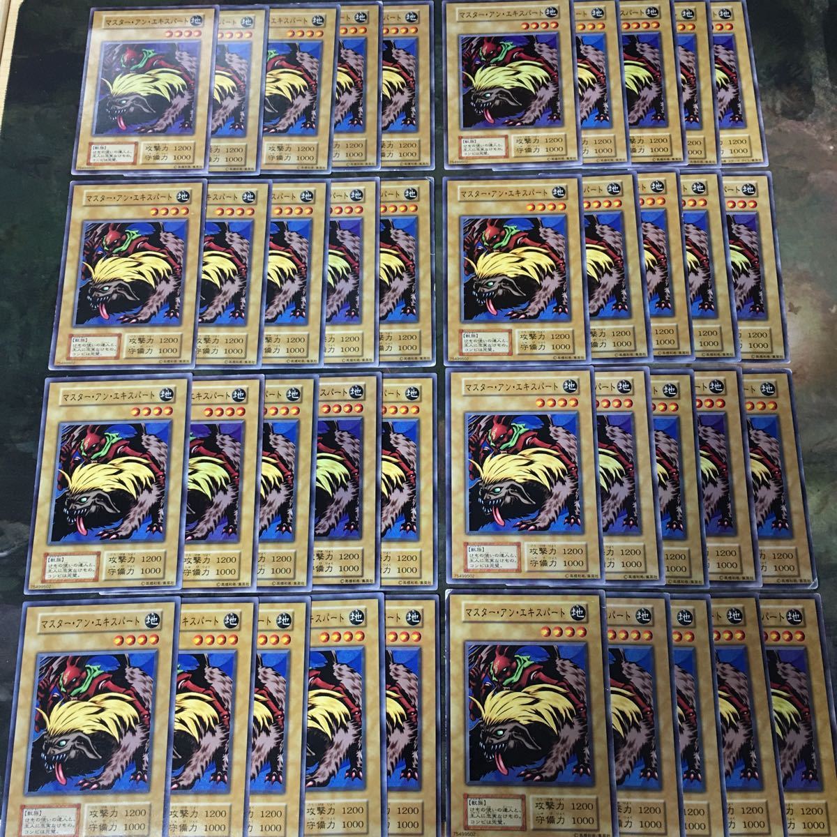 2023年最新】ヤフオク! -マスター・アン・エキスパートの中古品・新品